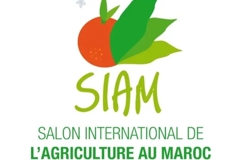 SIAM 2025 SIAM 2025
